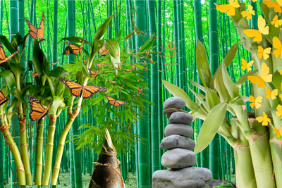 Bamboo Forest